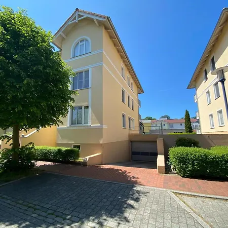 Seestern 8 Treibholz *