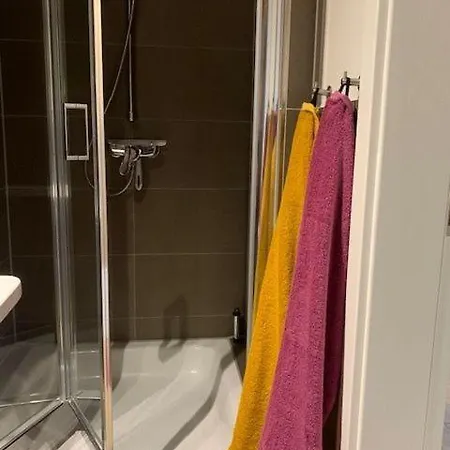 Seestern 8 Treibholz * Graal-Mueritz