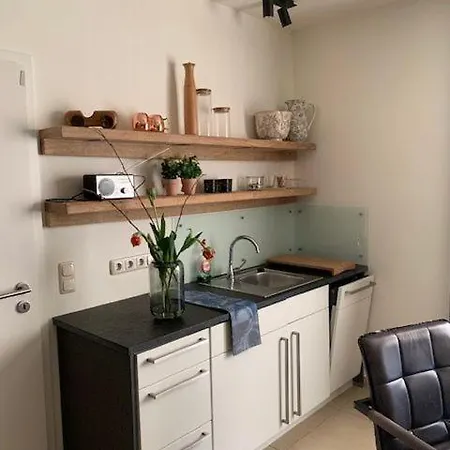 Seestern 8 Treibholz Daire