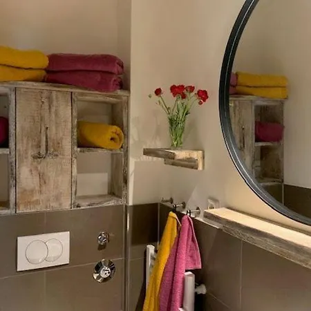 Seestern 8 Treibholz Graal-Mueritz