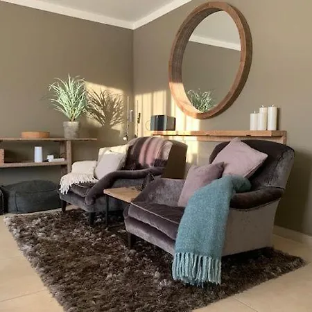 Seestern 8 Treibholz Daire *