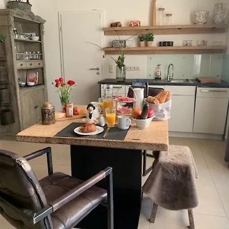 Seestern 8 Treibholz