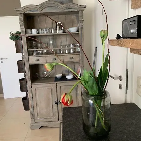 Seestern 8 Treibholz Apartament