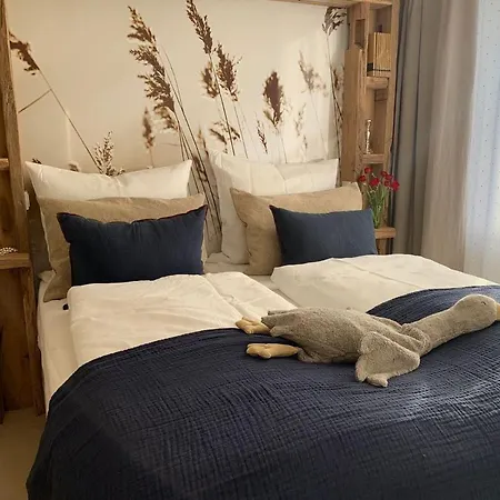 Seestern 8 Treibholz