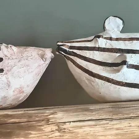 Seestern 8 Treibholz *