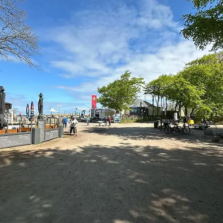 Seestern 8 Treibholz