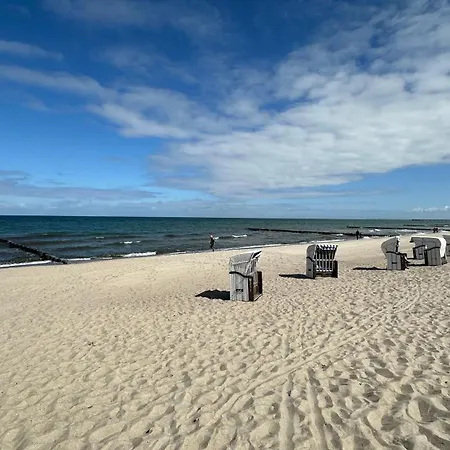 Seestern 8 Treibholz