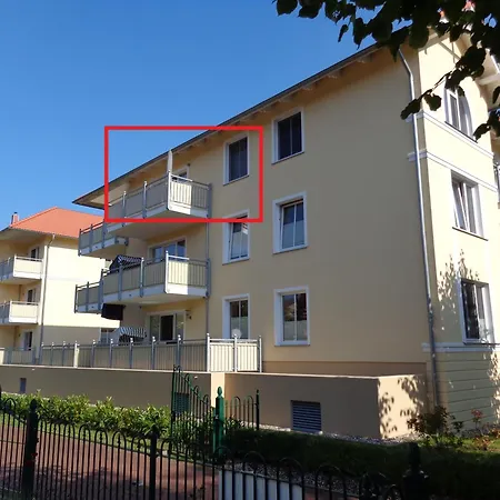 Seestern 8 Treibholz * Graal-Mueritz