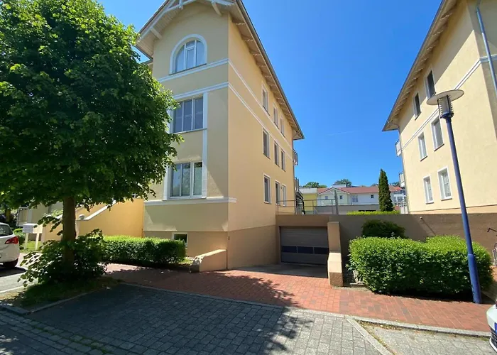 Seestern 8 Treibholz *