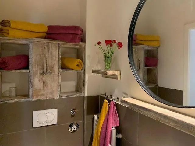 Seestern 8 Treibholz Graal-Mueritz