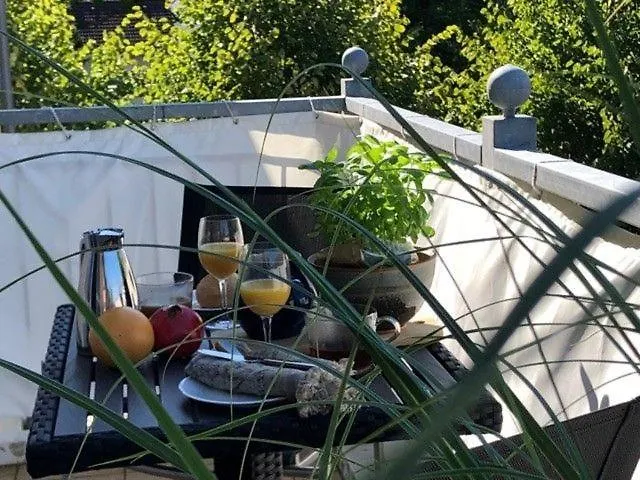 Seestern 8 Treibholz * Graal-Mueritz