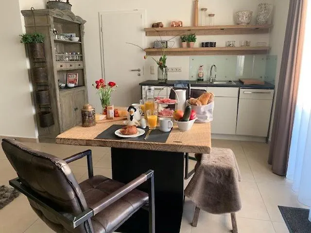 Seestern 8 Treibholz