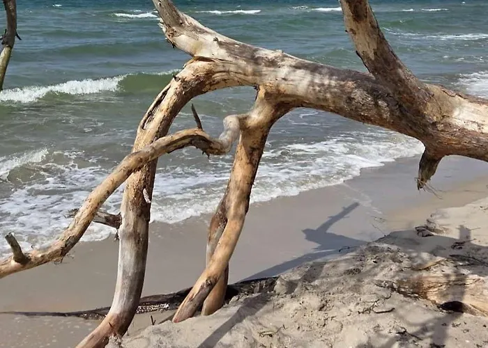 Διαμέρισμα Seestern 8 Treibholz *