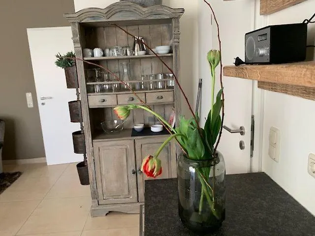 Seestern 8 Treibholz Διαμέρισμα