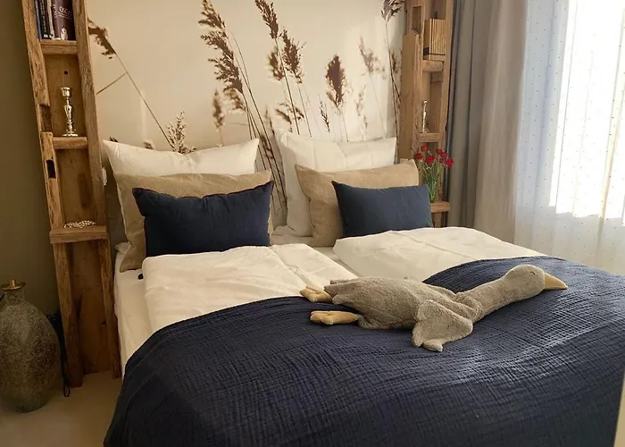 Seestern 8 Treibholz