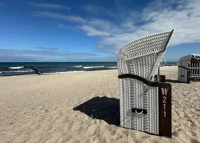 Seestern 8 Treibholz Graal-Mueritz