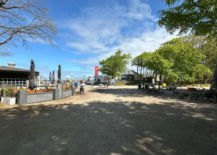 Seestern 8 Treibholz