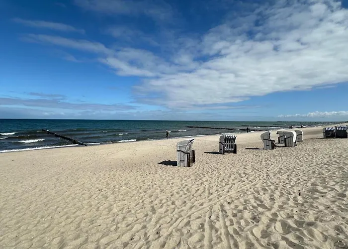 Seestern 8 Treibholz