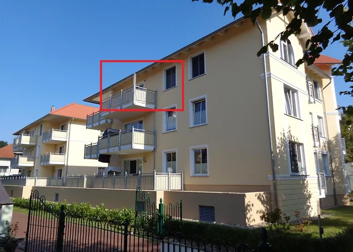 Seestern 8 Treibholz * Graal-Mueritz